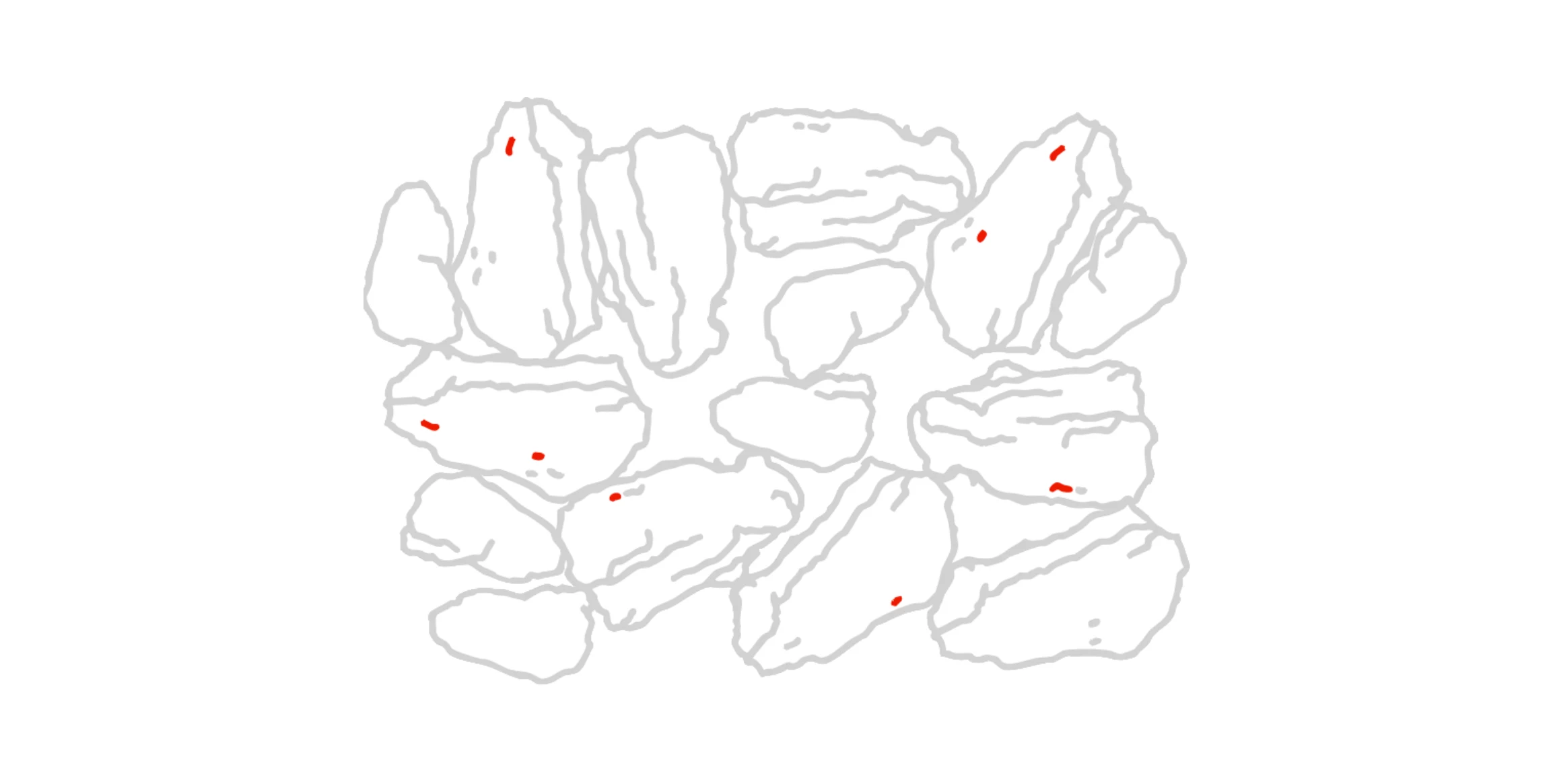 pattern